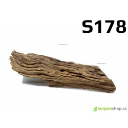 Kořen Mangrove 27cm - S178