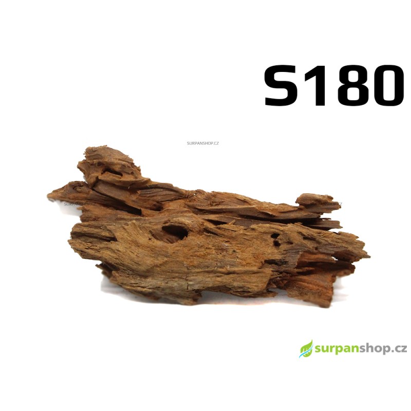 Kořen Mangrove 25cm - S180