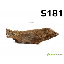 Kořen Mangrove 29cm - S181