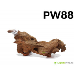 Kořen Plants Wood 32cm PW88