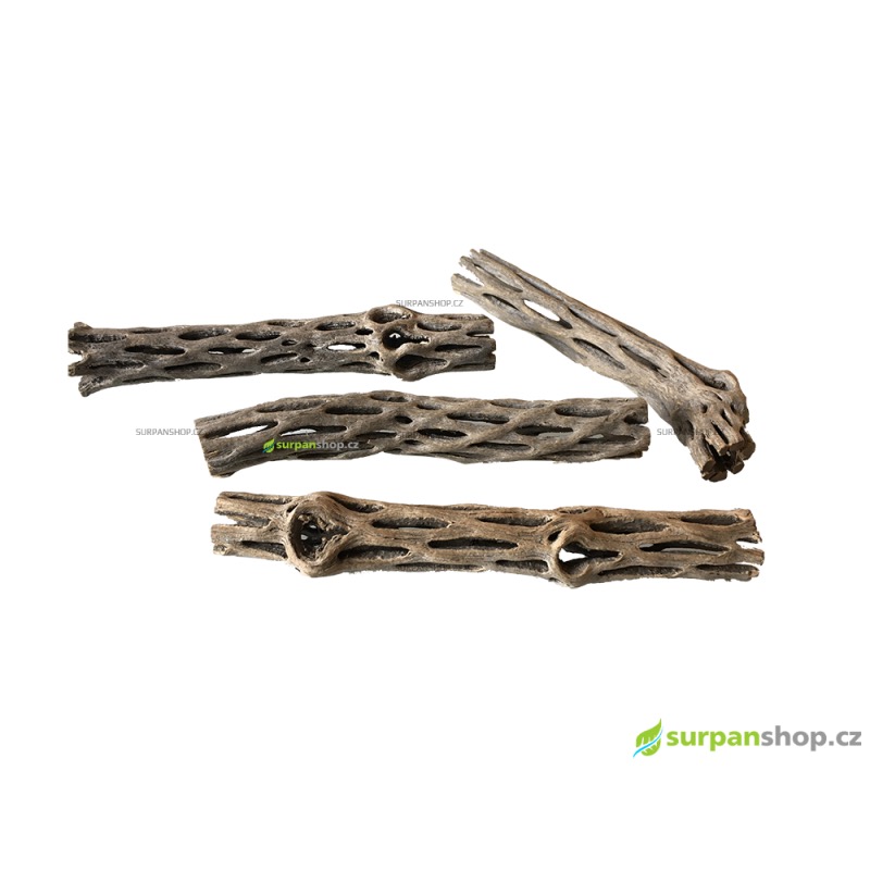 Cholla Wood ø 2 cm, 14 - 16 cm Cholla Wood ø 2 cm, 14 - 16 cm