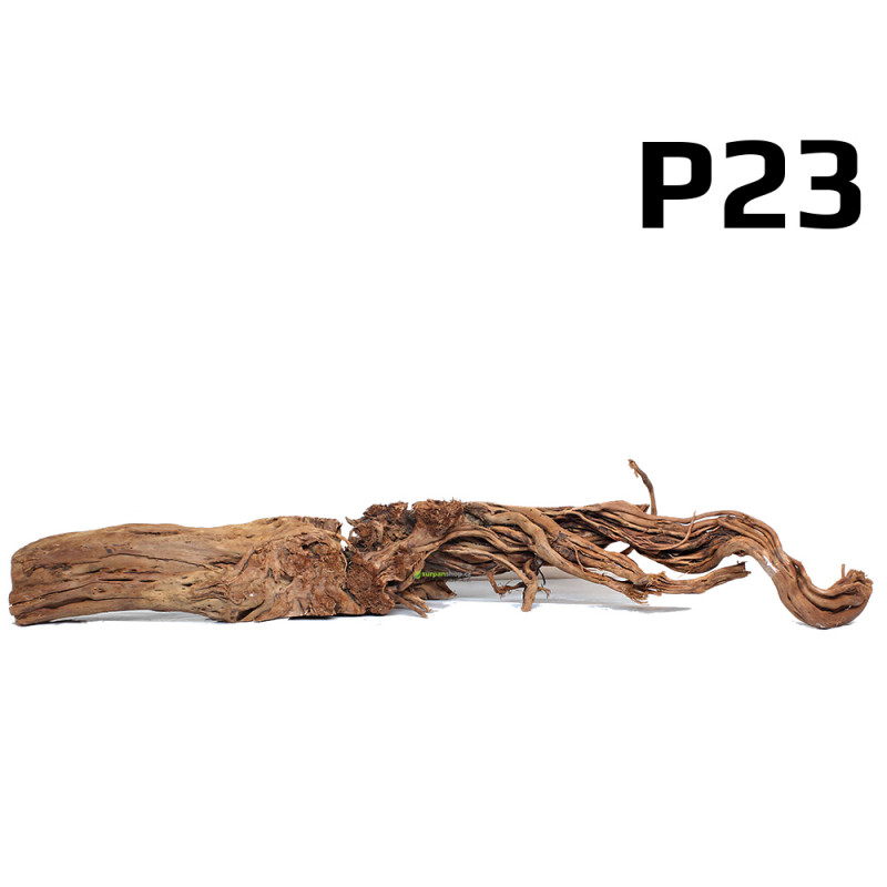 Kořen Dragon Wood 81cm - P23