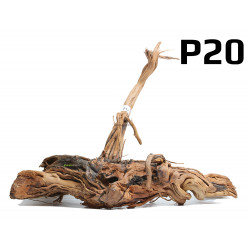 Kořen Dragon Wood 63cm - P20