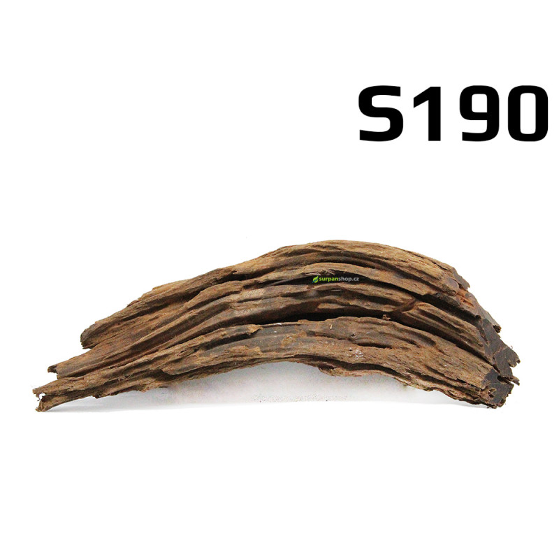 Kořen Mangrove 26cm - S190 Kořen Mangrove 26cm - S190