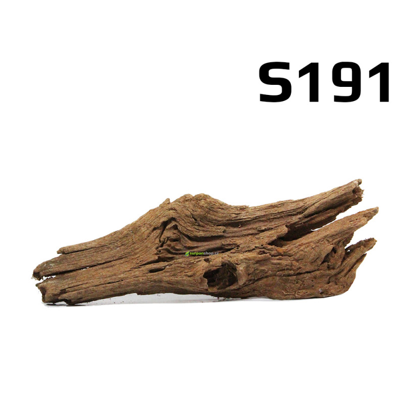 Kořen Mangrove 23cm - S191 Kořen Mangrove 23cm - S191