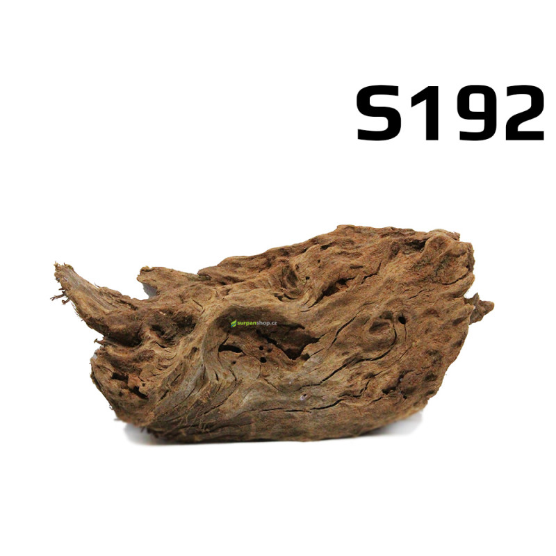 Kořen Mangrove 24cm - S192 Kořen Mangrove 24cm - S192