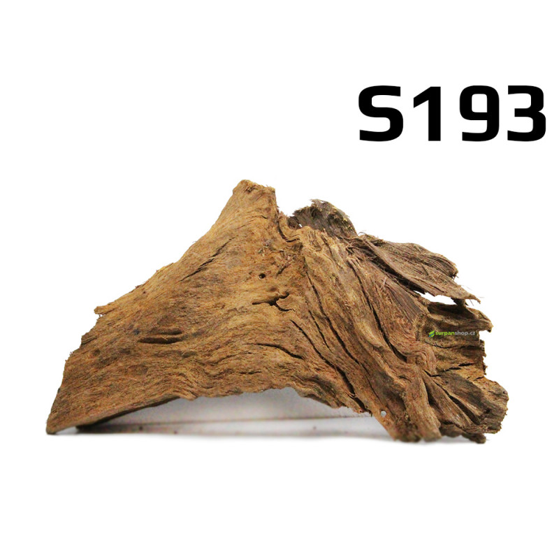 Kořen Mangrove 24cm - S193 Kořen Mangrove 24cm - S193