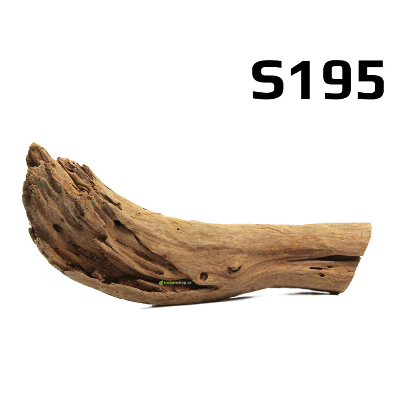 Kořen Mangrove 23cm - S195 Kořen Mangrove 23cm - S195