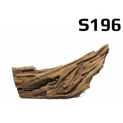 Kořen Mangrove 22cm - S196