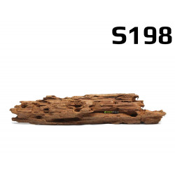 Kořen Mangrove 26cm - S198