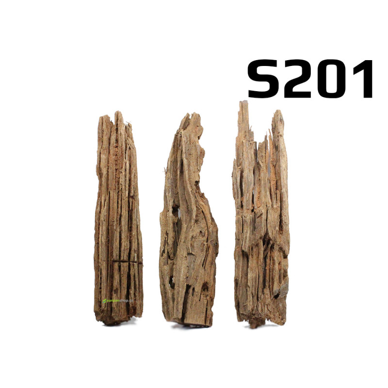 Kořen Mangrove 28cm - 3ks - S201 Kořen Mangrove 28cm - 3ks - S201
