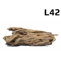 Kořen Mangrove 31cm - L42