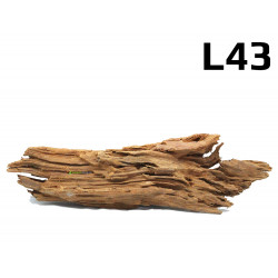 Kořen Mangrove 37cm - L43