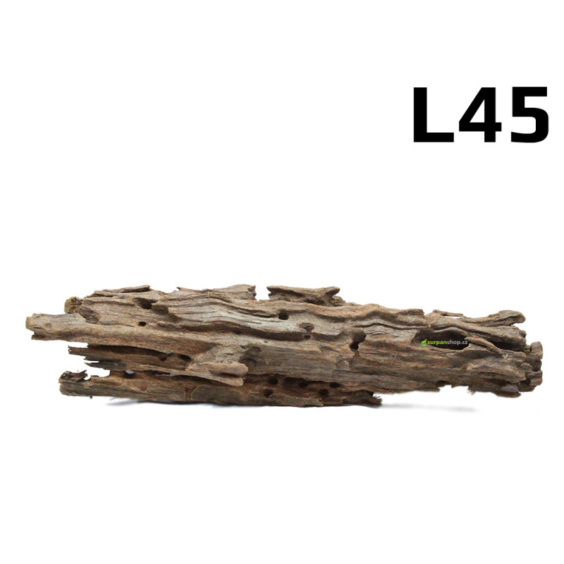 Kořen Mangrove 42cm - L45 Kořen Mangrove 42cm - L45