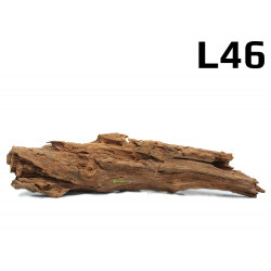 Kořen Mangrove 38cm - L46