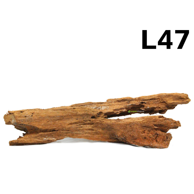 Kořen Mangrove 41cm - L47 Kořen Mangrove 41cm - L47