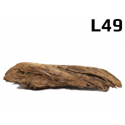 Kořen Mangrove 35cm - L49