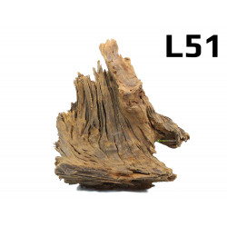 Kořen Mangrove 29cm - L51