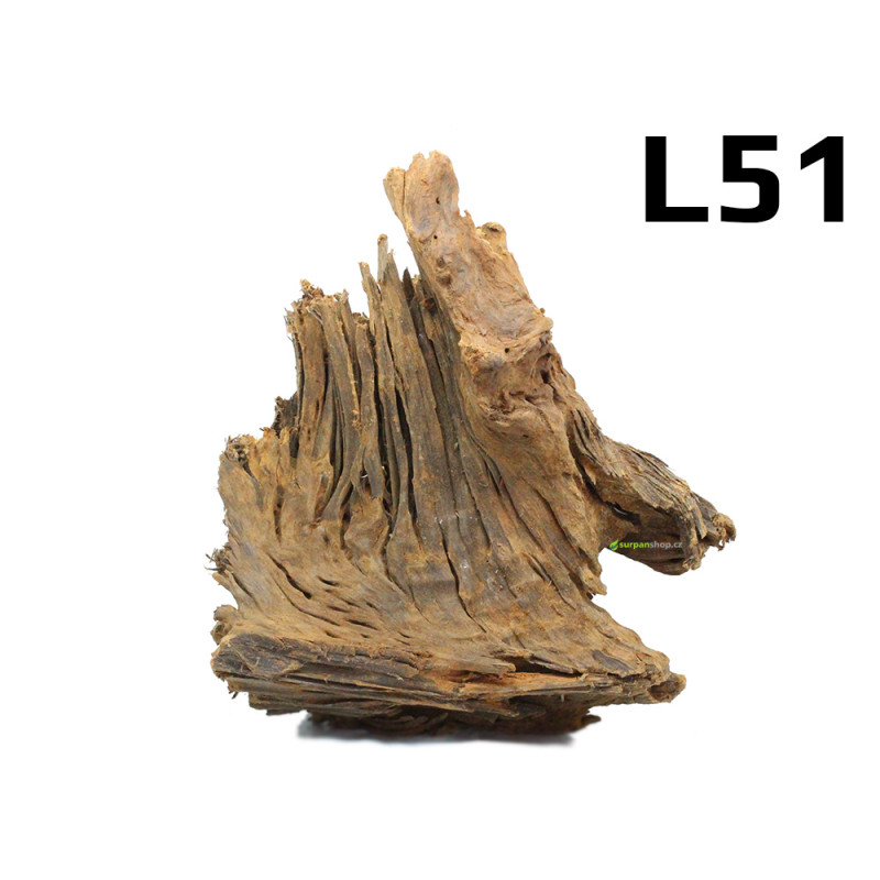 Kořen Mangrove 29cm - L51 Kořen Mangrove 29cm - L51