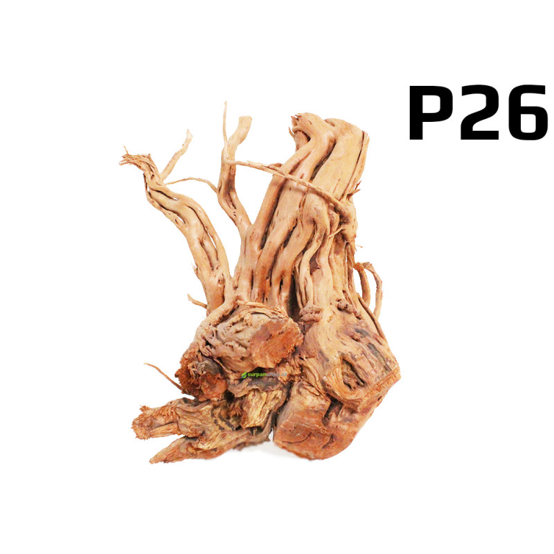 Kořen Dragon Wood 45cm - P26 Kořen Dragon Wood 45cm - P26