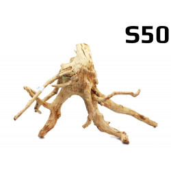 Kořen Finger Wood 43cm S50 (Red Moor wood, Amano wood)