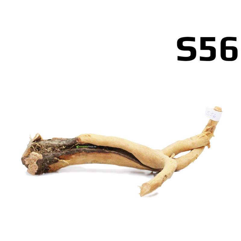 Kořen Finger Wood 28cm S56 (Red Moor wood, Amano wood)