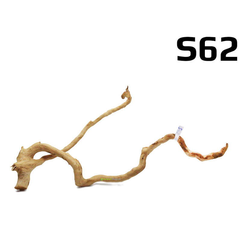 Kořen Finger Wood 35cm S62 (Red Moor wood, Amano wood) Kořen Finger Wood 35cm S62 (Red Moor wood, Amano wood)