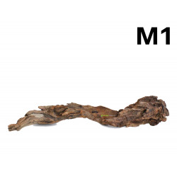 Kořen Mangrove 29cm - M1