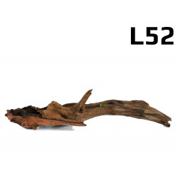 Kořen Mangrove 35cm - L52