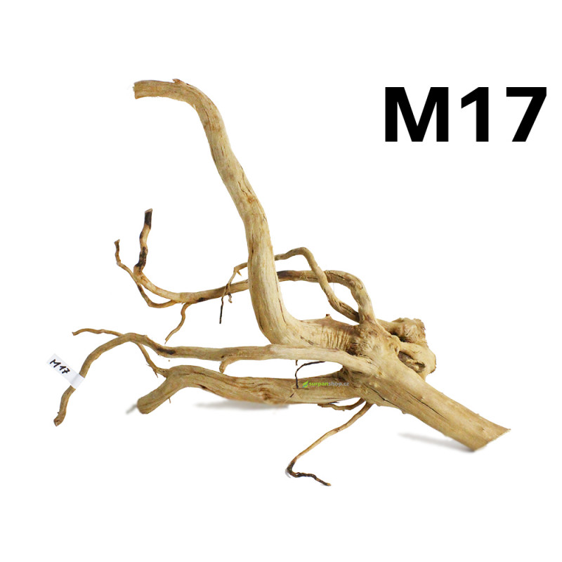 Kořen Finger Wood 42cm M17 (Red Moor wood, Amano wood)