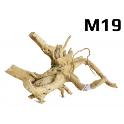 Kořen Finger Wood 26cm M19 (Red Moor wood, Amano wood)