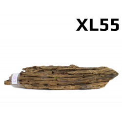 Kořen Mangrove 50cm - XL55