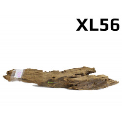 Kořen Mangrove 43cm - XL56