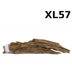 Kořen Mangrove 52cm - XL57