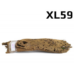 Kořen Mangrove 49cm - XL59