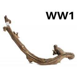 Kořen Wine Wood 57cm - WW1