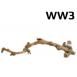 Kořen Wine Wood 68cm - WW3
