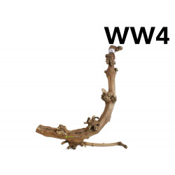 Kořen Wine Wood 62cm - WW4