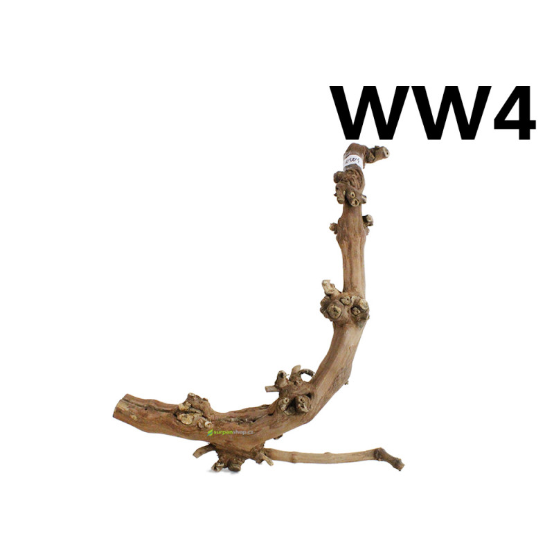 Kořen Wine Wood 62cm - WW4
