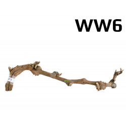 Kořen Wine Wood 64cm - WW6