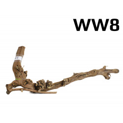 Kořen Wine Wood 64cm - WW8