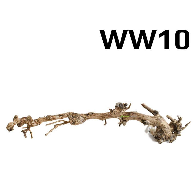 Kořen Wine Wood 74cm - WW10