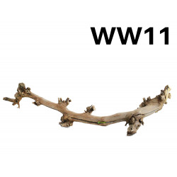 Kořen Wine Wood 79cm - WW11