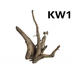 Kořen Kongo Wood 44cm - KW1