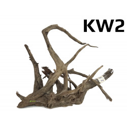 Kořen Kongo Wood 45cm - KW2
