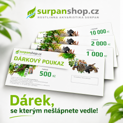 Dárkový poukaz digitální v hodnotách 500 - 10000 Kč