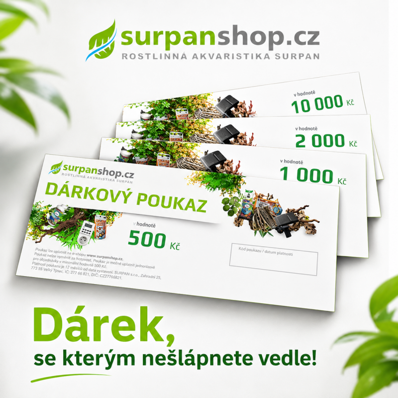 Dárkový poukaz digitální v hodnotách 500 - 10000 Kč