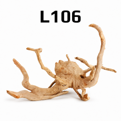 Kořen Finger Wood 56cm L106 (Red Moor wood, Amano wood)