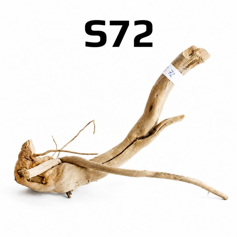 Kořen Finger Wood 31cm S72 (Red Moor wood, Amano wood)