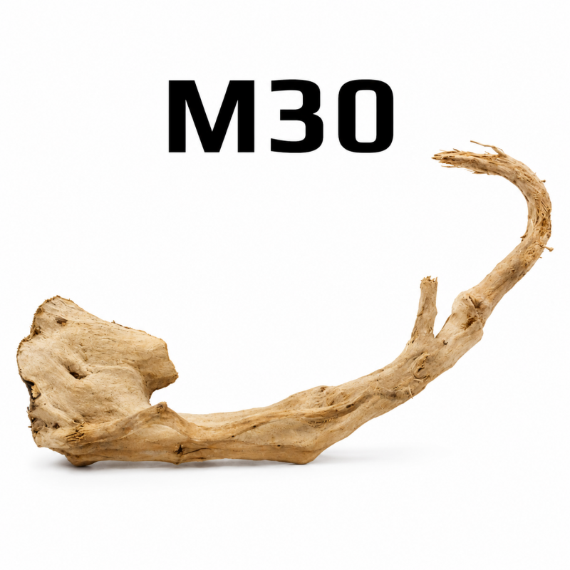 Akvarijni koreny drevo Finger Wood, Red Moor wood, Amano wood M30 rostlinna akvaria SURPAN